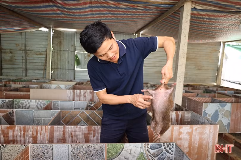 Thu nhập tốt nhờ nuôi kết hợp 3 loài đặc sản