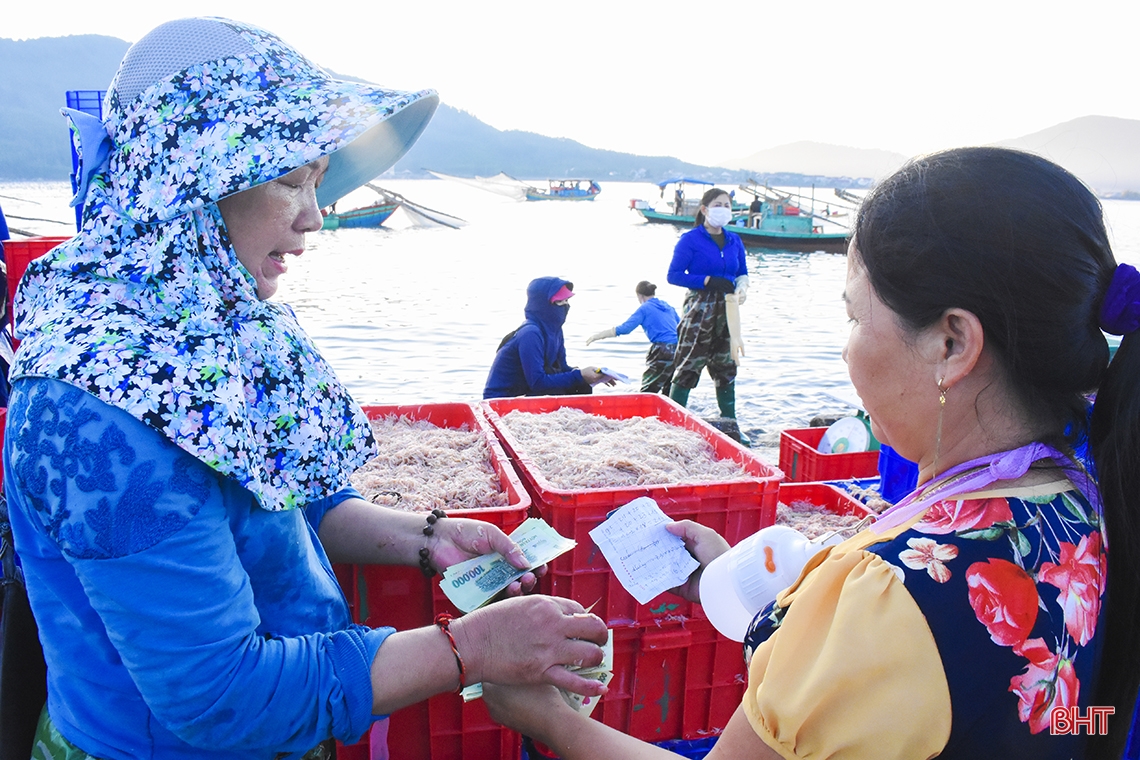 Ngư dân Hà Tĩnh trúng đậm “lộc biển”