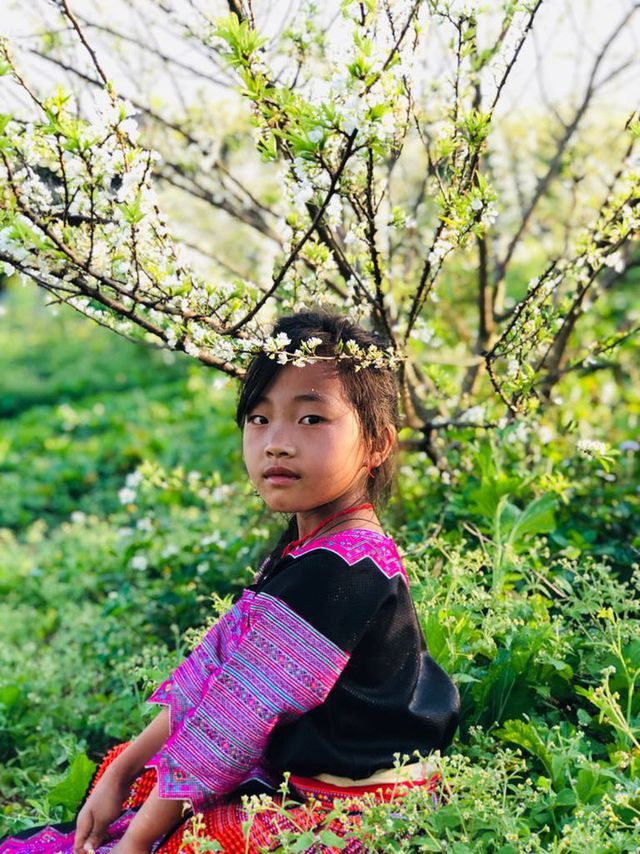 Mê mẩn những cánh đồng hoa đẹp như thiên đường ở Mộc Châu