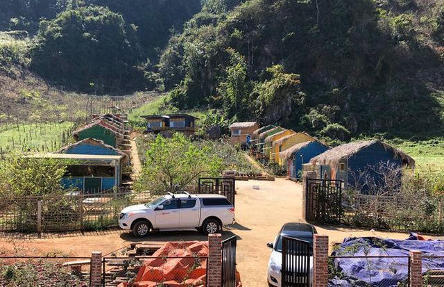 Mê mẩn những cánh đồng hoa đẹp như thiên đường ở Mộc Châu