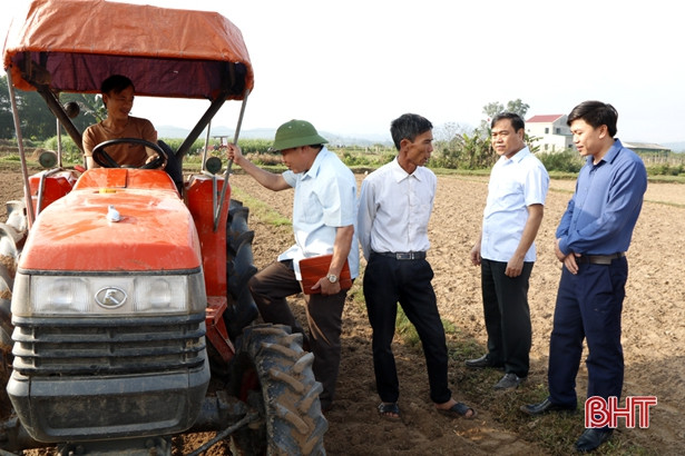 Nông dân Cẩm Xuyên xuống đồng gieo trỉa lạc, chăm sóc lúa xuân