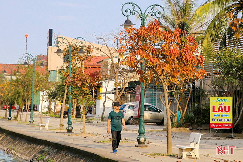 Ngỡ ngàng ngắm lộc vừng mùa thay lá ở Thành Sen