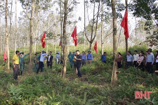 Công ty cao su Hương Khê phấn đấu khai thác 600 tấn “vàng trắng” năm 2019