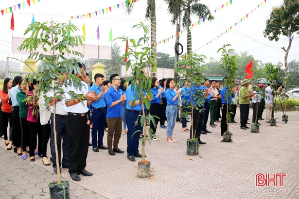 Sở Y tế ra quân “Tết trồng cây đời đời nhớ ơn Bác Hồ”- Xuân Kỷ Hợi 2019