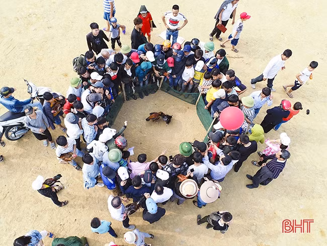 Trẩy hội ngày xuân…