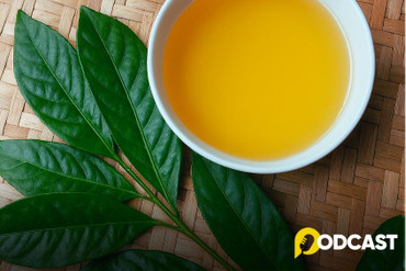 Podcast: Hồn quê sóng sánh tiếng mời chè xanh