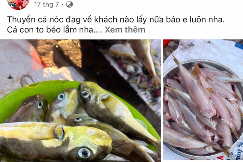 ca-noc-mxh.png
