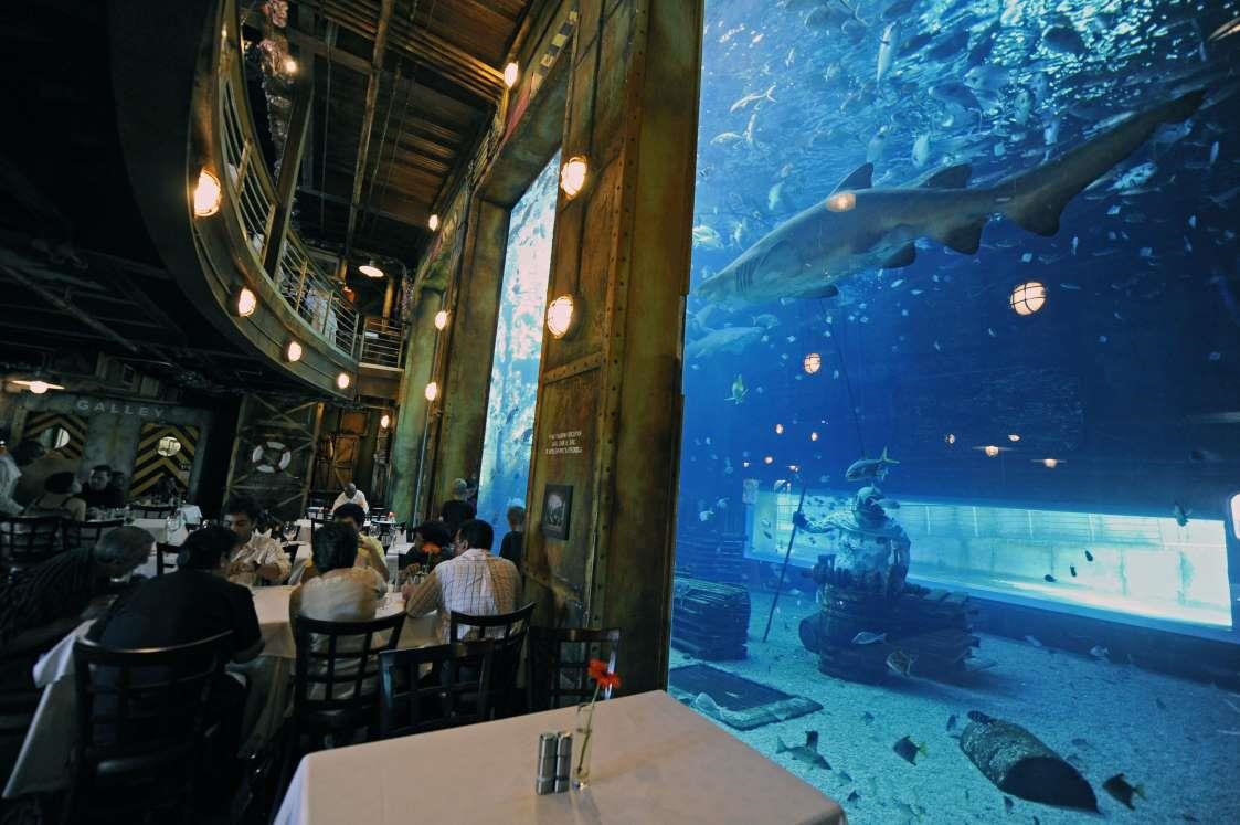 10 nhà hàng dưới nước độc đáo trên khắp thế giới ảnh 5 10 nhà hàng dưới nước độc đáo trên khắp thế giới