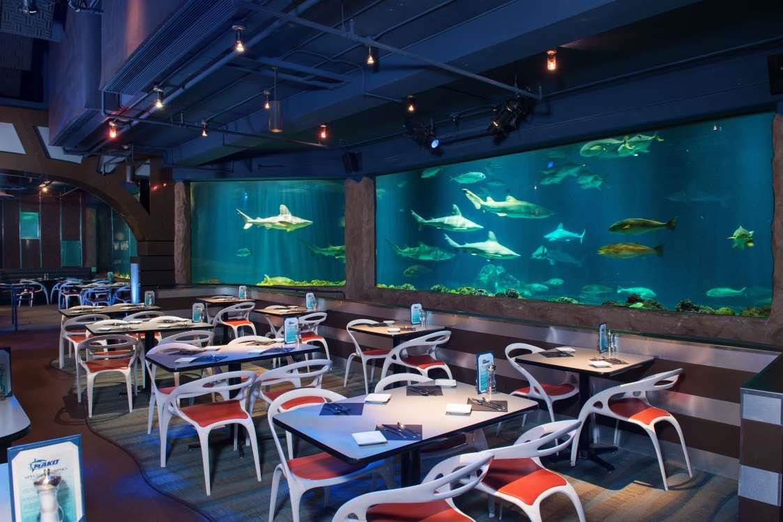 10 nhà hàng dưới nước độc đáo trên khắp thế giới ảnh 8 10 nhà hàng dưới nước độc đáo trên khắp thế giới