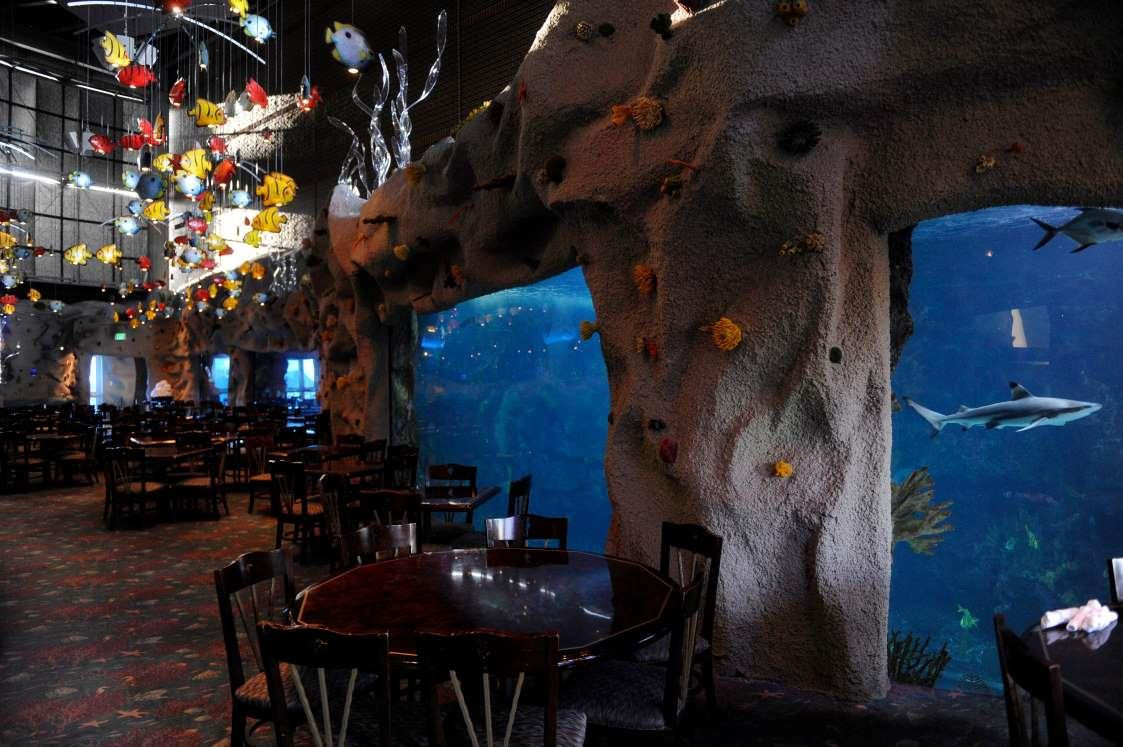 10 nhà hàng dưới nước độc đáo trên khắp thế giới ảnh 12 10 nhà hàng dưới nước độc đáo trên khắp thế giới
