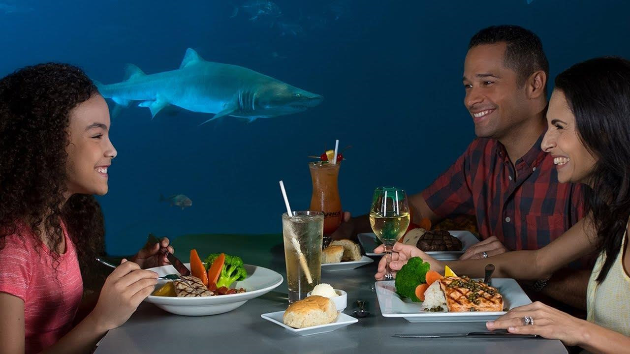 10 nhà hàng dưới nước độc đáo trên khắp thế giới ảnh 9 10 nhà hàng dưới nước độc đáo trên khắp thế giới