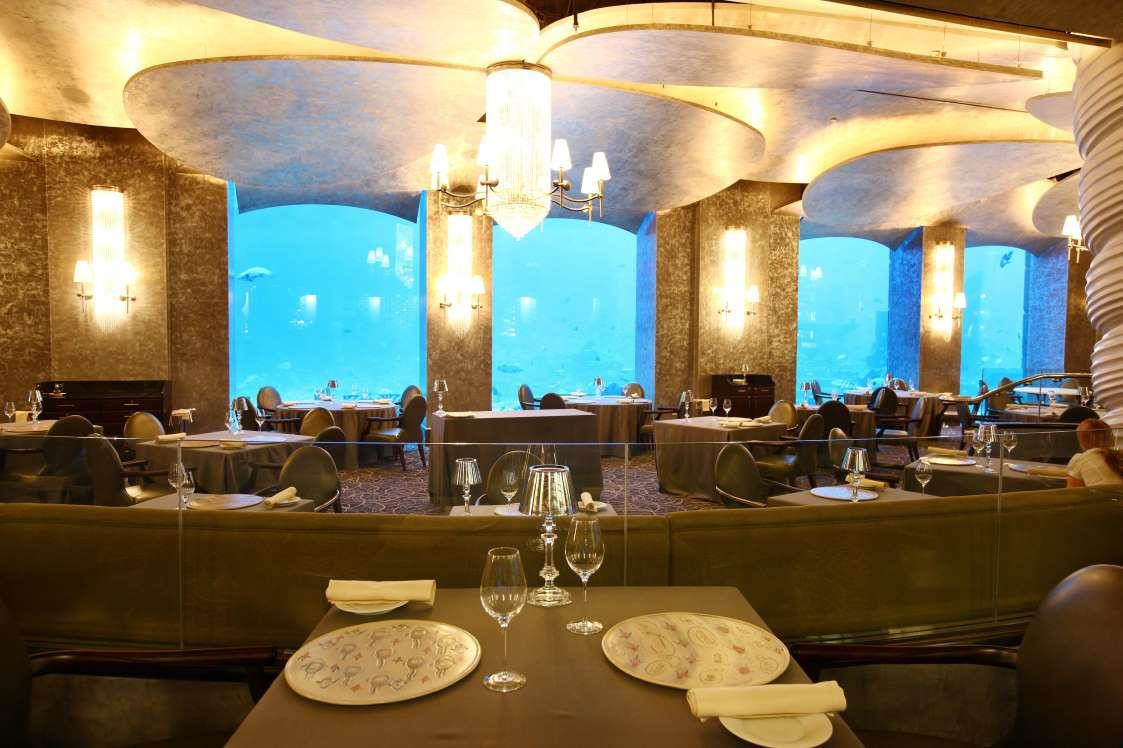 10 nhà hàng dưới nước độc đáo trên khắp thế giới ảnh 7 10 nhà hàng dưới nước độc đáo trên khắp thế giới