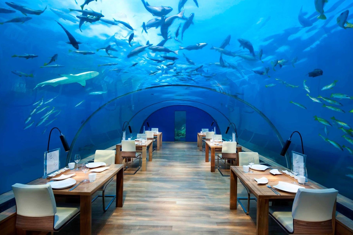 10 nhà hàng dưới nước độc đáo trên khắp thế giới ảnh 4 10 nhà hàng dưới nước độc đáo trên khắp thế giới