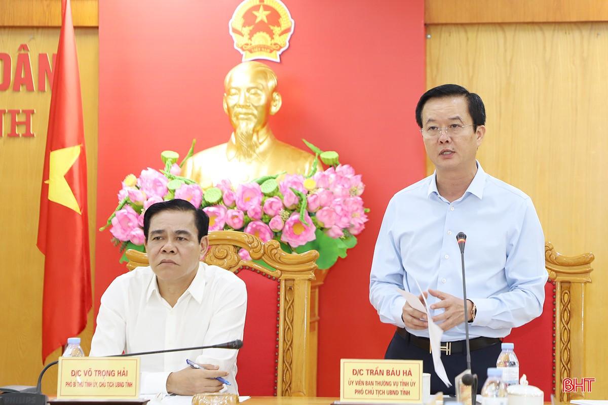 Phó Chủ tịch UBND tỉnh Trần Báu Hà phát biểu tại hội nghị. bqbht_br_4.jpg