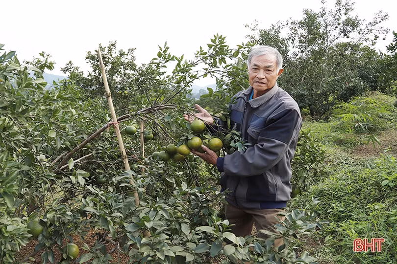 Sơn Trường đủ điều kiện xét duyệt công nhận xã nông thôn mới năm 2019