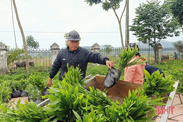 “Cùng nhau trồng cây xanh và tạo cuộc sống xanh tươi đẹp”