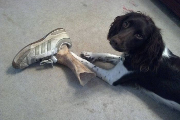 Muôn kiểu biểu cảm khi bé ngủ