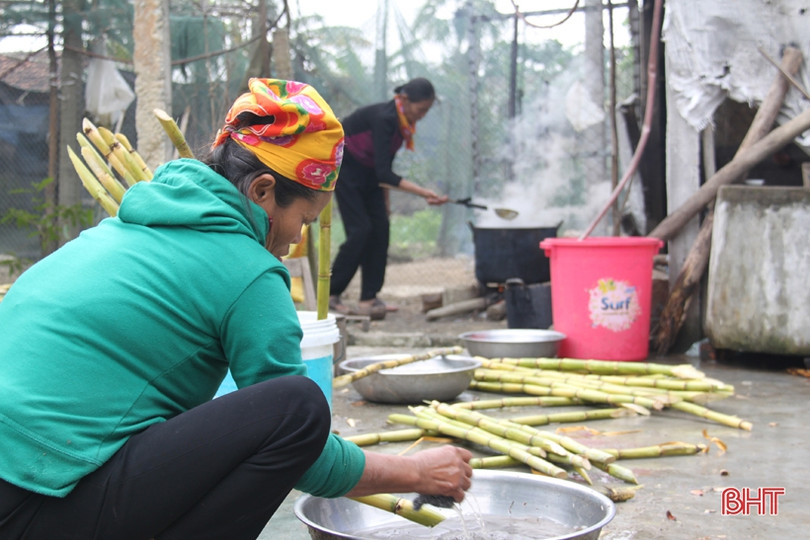 Tranh thủ ngày đông nắng ráo, nông dân Hà Tĩnh tất bật sản xuất lúa xuân, chăm sóc hoa màu