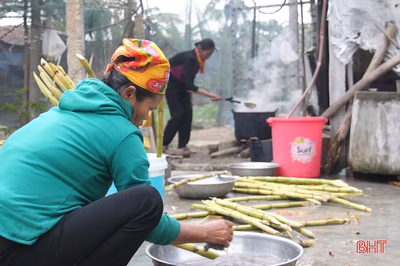 Tranh thủ ngày đông nắng ráo, nông dân Hà Tĩnh tất bật sản xuất lúa xuân, chăm sóc hoa màu