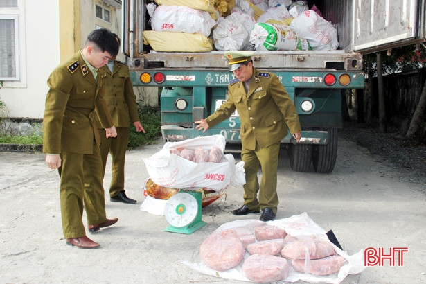 Bắt giữ xe container chở hơn 10 tấn nội tạng động vật qua Hà Tĩnh