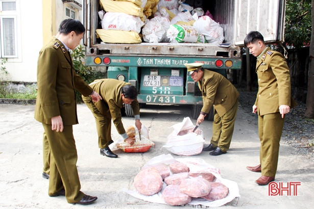 Tiêu hủy hơn 11 tấn nội tạng động vật, xử phạt chủ hàng 70 triệu đồng