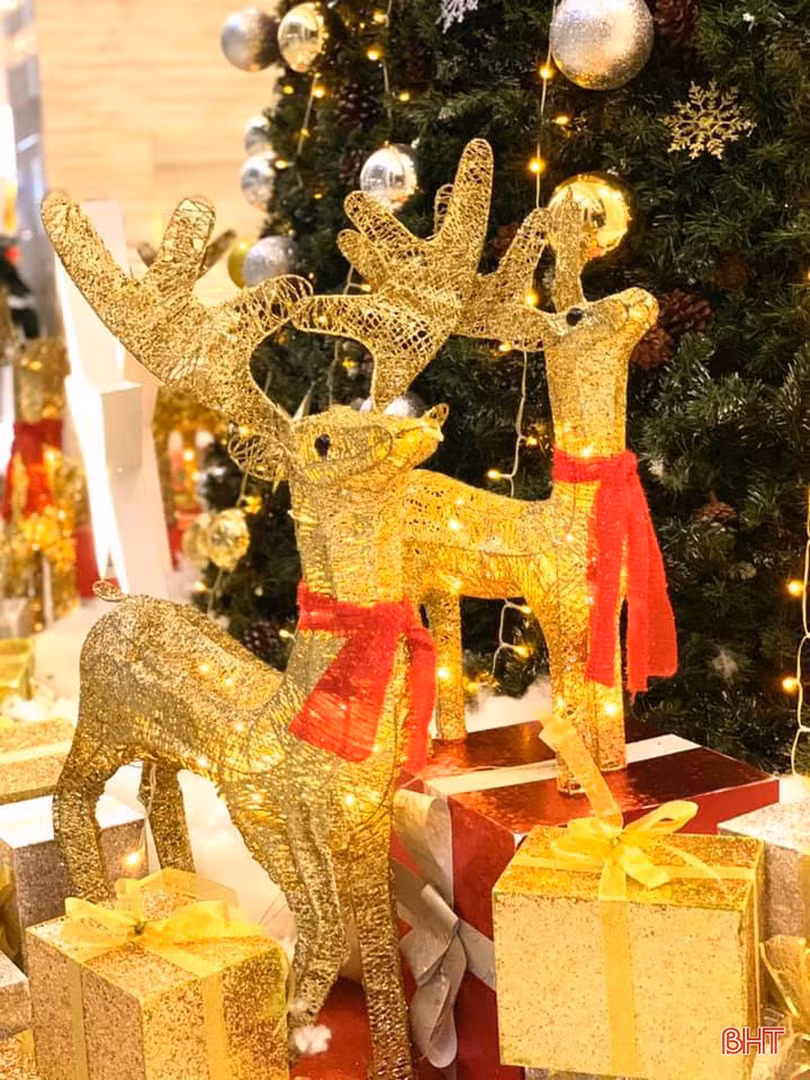 “Lạc bước” vào không gian đón mừng Giáng sinh 2019 tại Hà Tĩnh