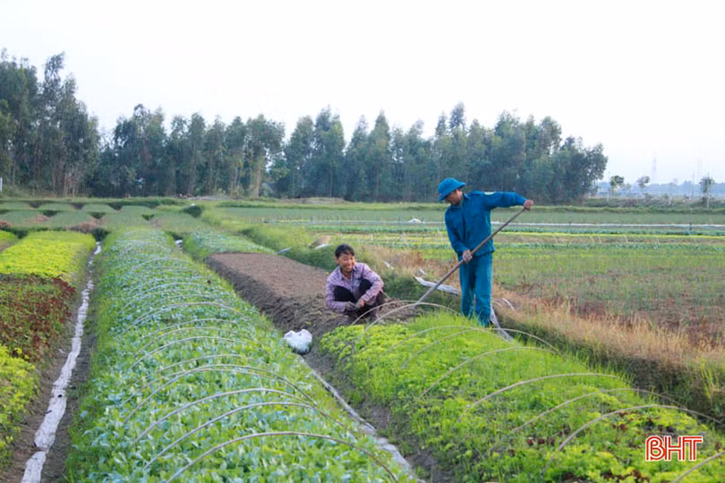 Chủ tịch UBND tỉnh Hà Tĩnh: Chỉ đạo quyết liệt, sâu sát, phấn đấu thực hiện thành công kế hoạch phát triển KT-XH 2020