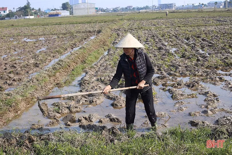 Người hâm mộ Hà Tĩnh dựng màn hình lớn, chuẩn bị cờ đỏ sao vàng tiếp lửa U22 Việt Nam