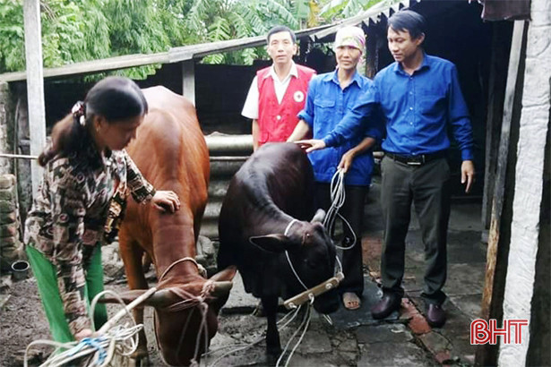 Tỷ lệ hộ nghèo của Hà Tĩnh đến cuối năm 2019 là 4,53%