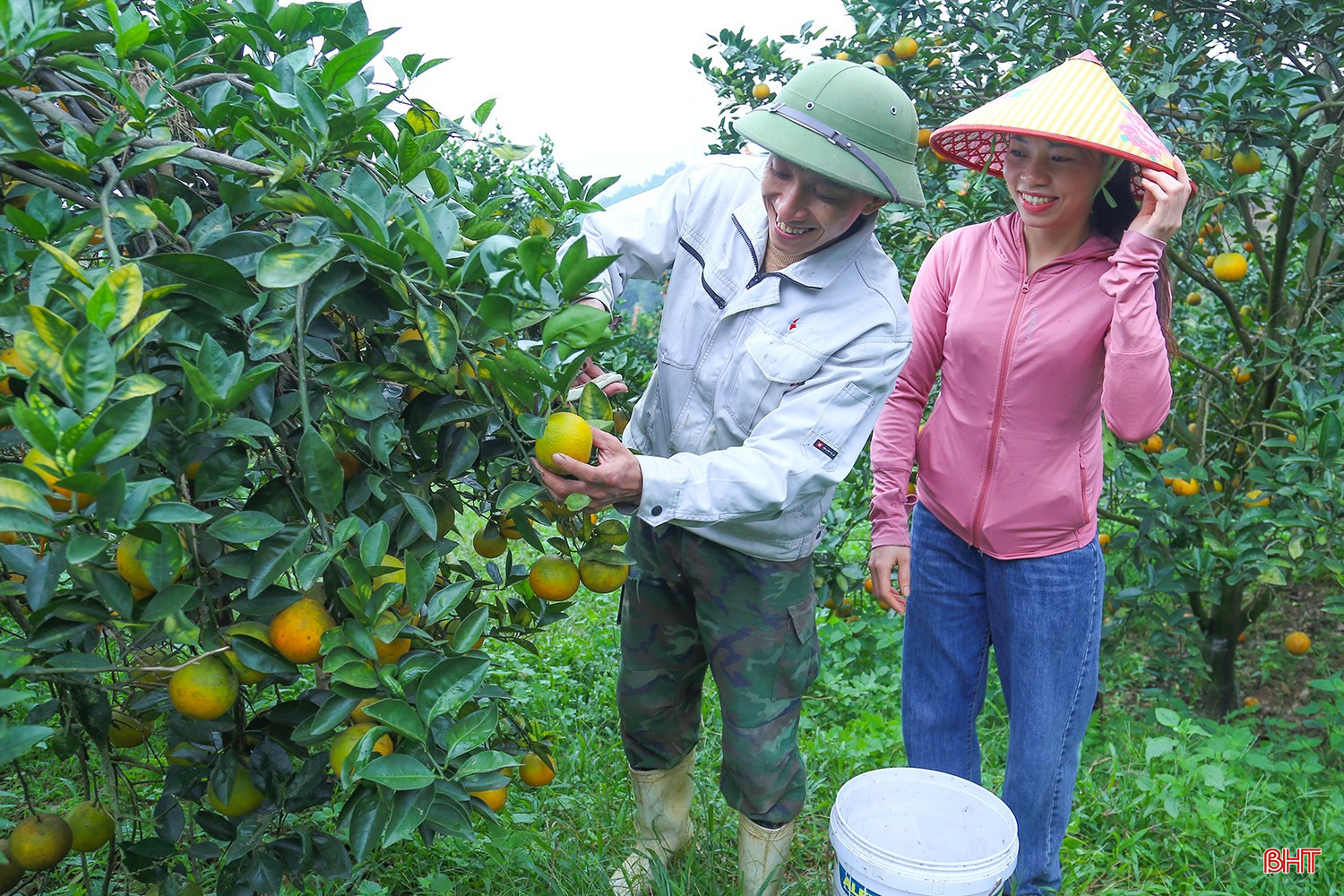 ក្រូចដែលដាំនៅឃុំគីមហ្វា (ឃុំគីមហ្វា និងឃុំហាំទ្រឿងពីមុនជាផ្នែកមួយនៃស្រុកហឿងសើន) មានក្លិនឈ្ងុយពិសេស និងរសជាតិផ្អែមឆ្ងាញ់ ដែលធ្វើឱ្យវាពេញនិយមជាមួយអតិថិជន។ bqbht_br_img-3423-6881.jpg