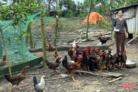 Hỗ trợ mô hình sinh kế giúp hộ nghèo Kỳ Lạc vươn lên