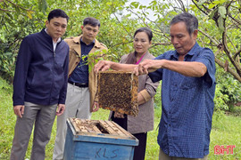 Xây dựng sinh kế từ đàn ong giúp thoát nghèo bền vững