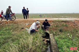 Thi công đường công vụ gây tắc kênh, ảnh hưởng đến sản xuất