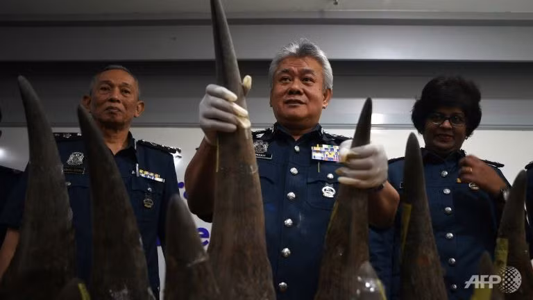 malaysia bat lo hang hon 50 kg sung te giac tri gia 3 1 trieu usd