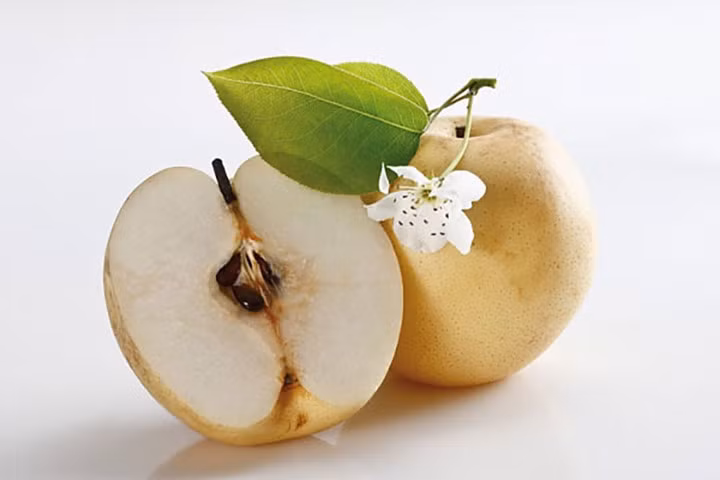 nhung loai hat trai cay cuc tot nhung ban thuong bo di