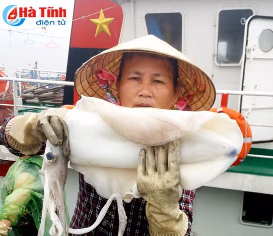 video ngu dan trung dam muc nang muc la