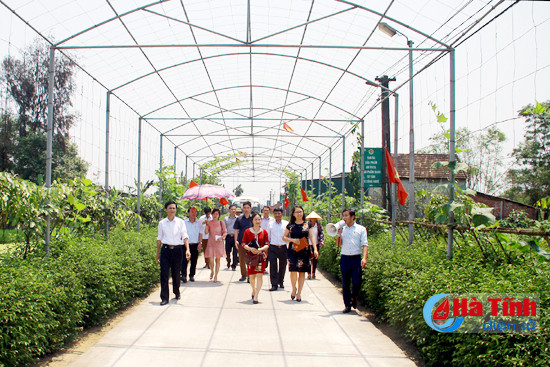 ha tinh san sang cho hoi nghi toan quoc van phong nong thon moi