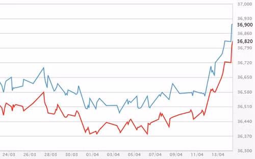 bat on o trieu tien dua gia vang len gan 37 trieu dong luong