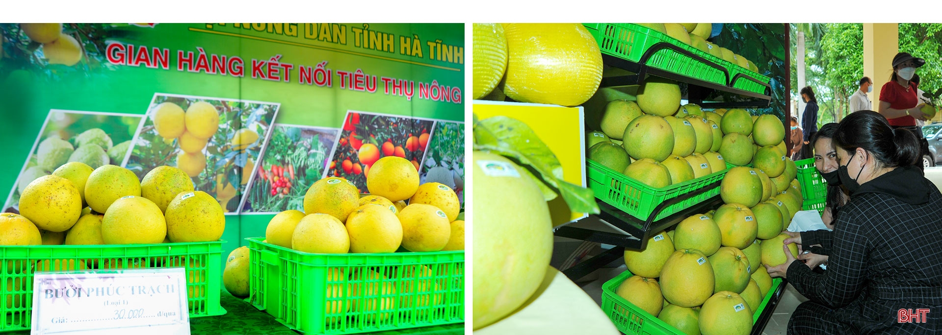 Mở đường cho đặc sản Hương Khê vươn xa (bài 2): Chuẩn hóa sản xuất, nâng tầm thương hiệu