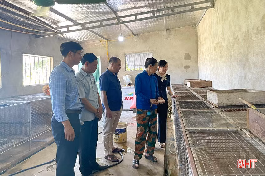 Mô hình nuôi chồn hương của hội viên nông dân Nguyễn Văn Anh ở thôn Vĩnh Bình, xã Đỉnh Bàn.