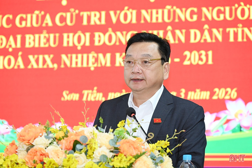 Ông Hồ Huy Thành - Phó Chủ tịch UBND tỉnh trình bày chương trình hành động.