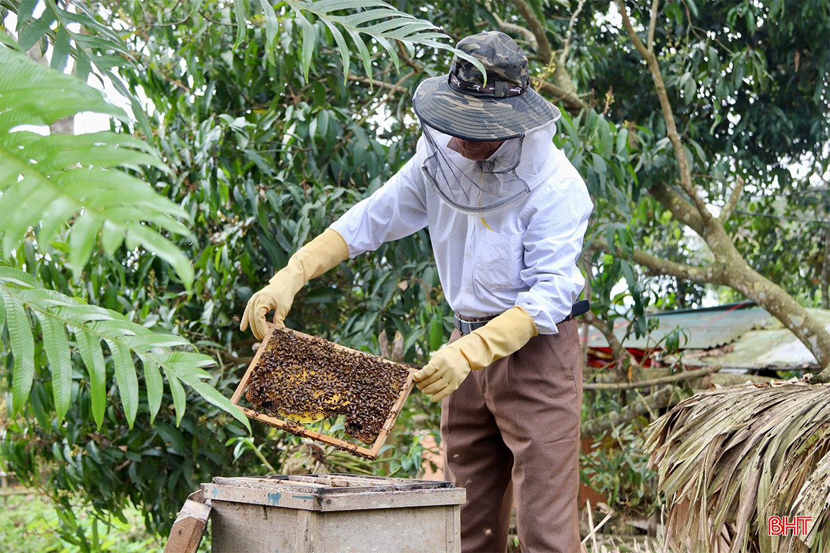 Được biết, toàn thôn 4 hiện có hơn 10 mô hình kinh tế cho thu nhập từ 100 triệu đồng trở lên. Những mô hình này không chỉ đem về nguồn thu nhập khá cho bà con mà còn tạo điểm nhấn trong xây dựng NTM của thôn, góp phần giúp địa phương đạt và giữ vững tiêu chí thu nhập.