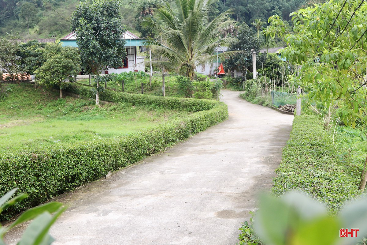 bqbht_br_img-0808-copy.jpg