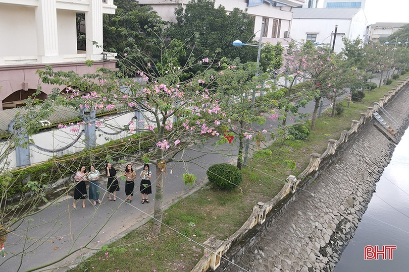 Ngắm sắc hoa mỹ nhân dịu dàng giữa lòng Thành Sen