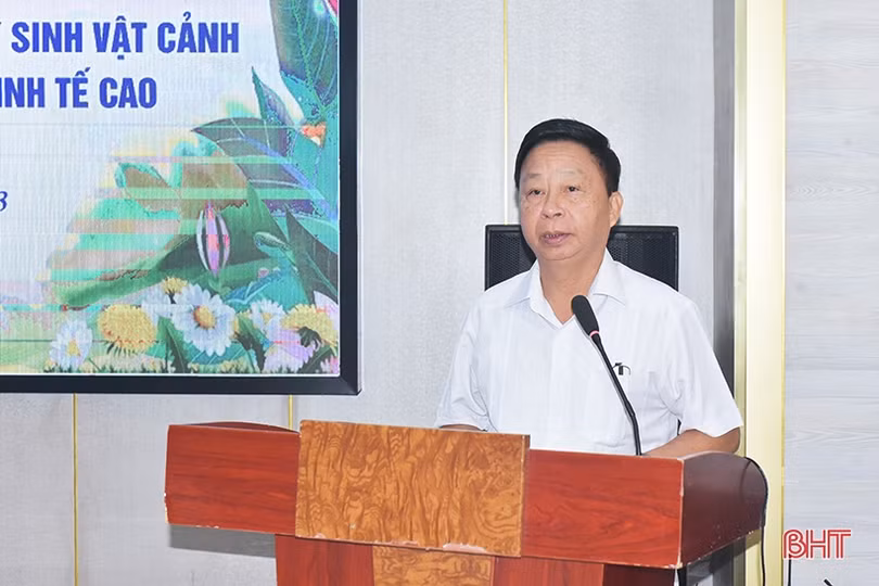 Phổ biến kiến thức phát triển cây cảnh và cây bóng mát