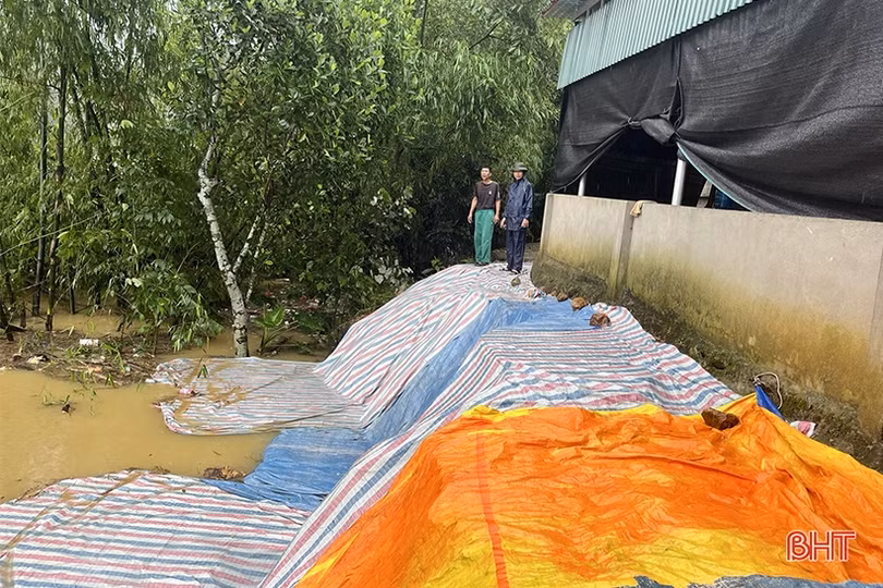 Xuất hiện hàng chục điểm sạt lở đất ở Vũ Quang