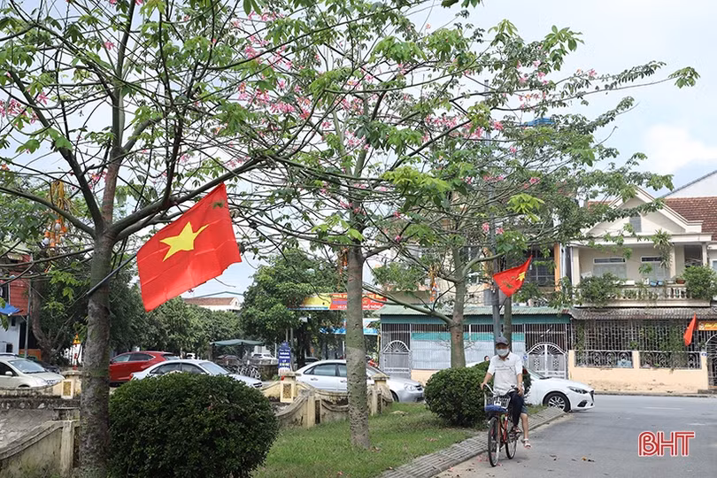 Ngắm sắc hoa mỹ nhân dịu dàng giữa lòng Thành Sen