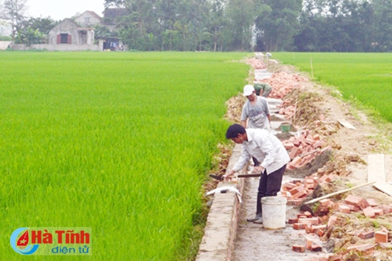 Huy động sức dân đúng mức để xây dựng nông thôn mới bền vững ảnh 2