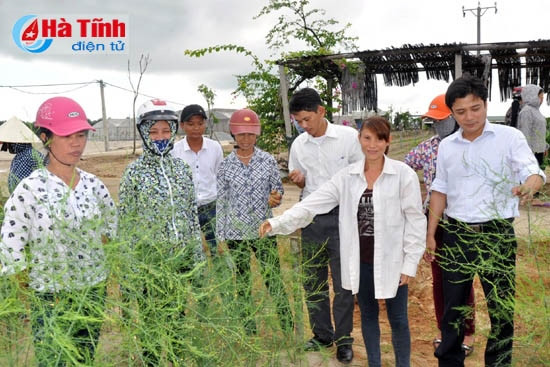 Phát triển kinh tế, cải thiện công bằng giới ảnh 1