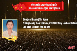 Nữ công nhân Hà Tĩnh được vinh danh đảng viên tiêu biểu toàn quốc